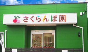 さくらんぼ園